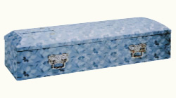 �z���i���t�J�g���A�j